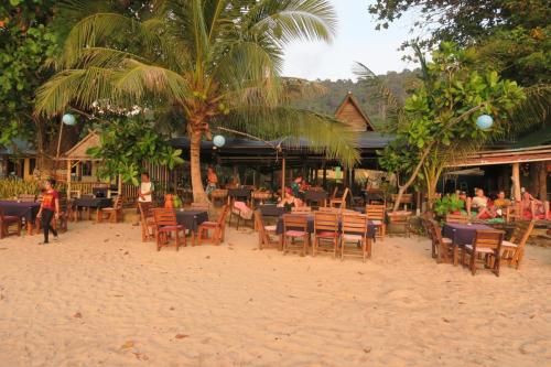 koala-vom-strand-aus